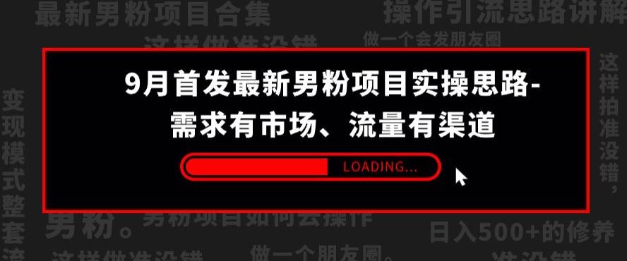 9月首发最新男粉项目实操思路-需求有市场，流量有渠道【揭秘】-摸金项目网