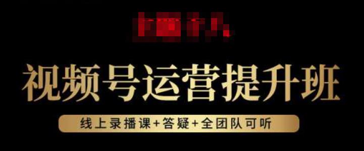 视频号运营提升班：视频号起号逻辑，视频号选品技巧及带货-摸金项目网