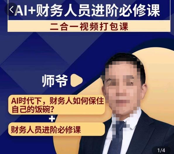 AI+财务人员进阶必修课二合一视频打包课，财务人员进阶必修课-摸金项目网
