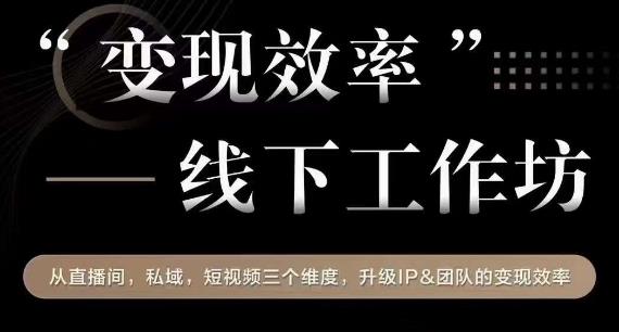 变现效率线下工作坊，从‮播直‬间、私域、‮视短‬频‮个三‬维度，升级IP和团队变现效率-摸金项目网
