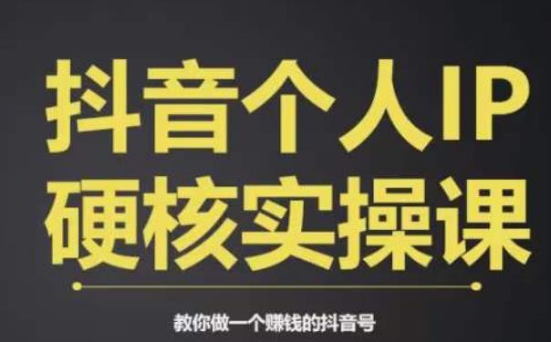 个人IP创富系统实战课，商业定位，流量打造，短视频变现，教你做个赚钱的抖音号-摸金项目网