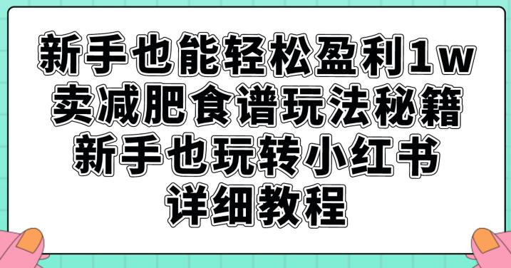新手也能轻松盈利1w，卖减肥食谱玩法秘籍，新手也玩转小红书详细教程【揭秘】-摸金项目网