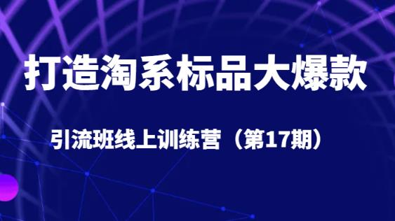 打造淘系标品大爆款引流班线上训练营（第17期）5天直播授课-摸金项目网
