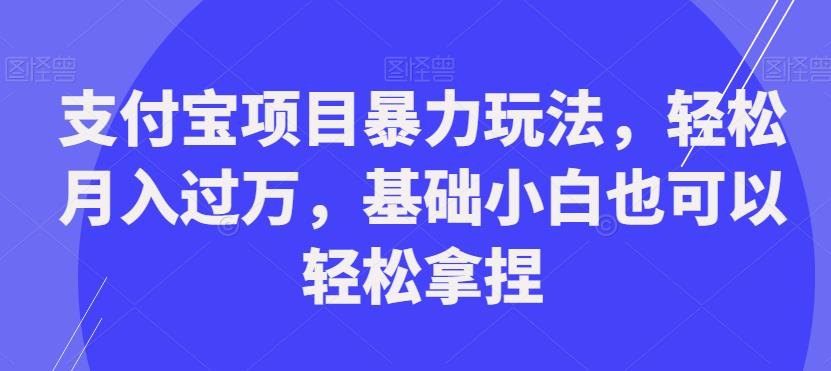 支付宝项目暴力玩法，轻松月入过万，基础小白也可以轻松拿捏【揭秘】-摸金项目网