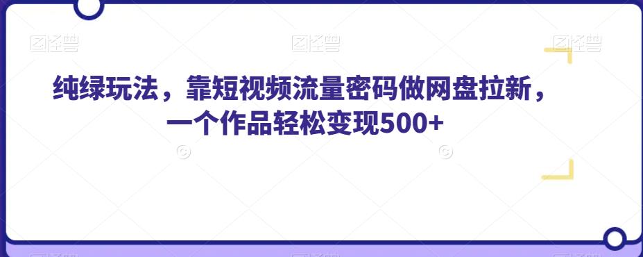 纯绿玩法，靠短视频流量密码做网盘拉新，一个作品轻松变现500+【揭秘】-摸金项目网