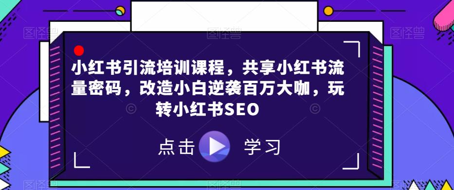 小红书引流培训课程，共享小红书流量密码，改造小白逆袭百万大咖，玩转小红书SEO-摸金项目网