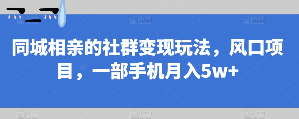 同城相亲的社群变现玩法，风口项目，一部手机月入5w+【揭秘】-摸金项目网