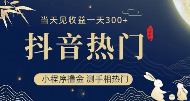 抖音最新小程序撸金，测手相上热门，当天见收益一小时变现300+【揭秘】-摸金项目网