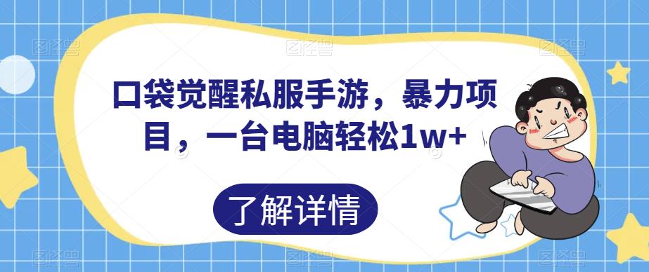 口袋觉醒私服手游，暴力项目，一台电脑轻松1w+【揭秘】-摸金项目网