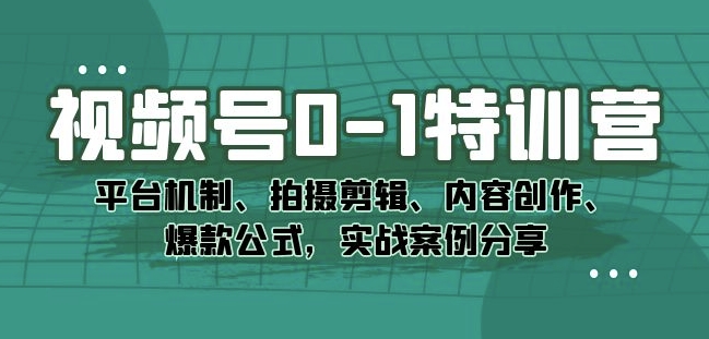 视频号0-1特训营：平台机制、拍摄剪辑、内容创作、爆款公式，实战案例分享-摸金项目网
