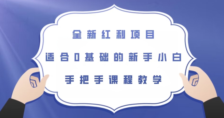 全新红利项目，适合0基础的新手小白，手把手课程教学【揭秘】-摸金项目网
