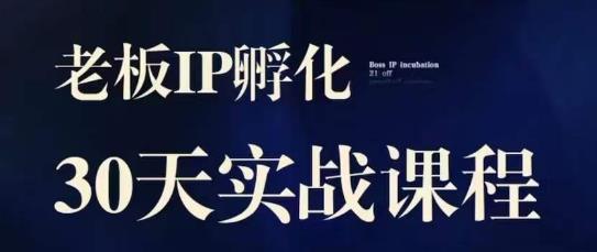诸葛·2023老板IP实战课，实体同城引流获客，IP孵化必听-摸金项目网