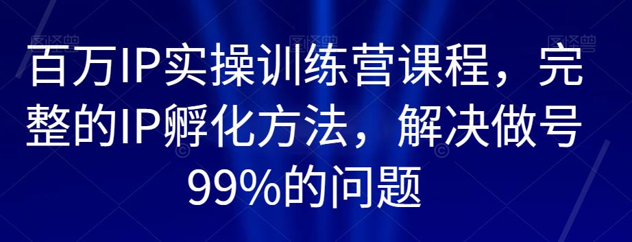 百万IP实操训练营课程，完整的IP孵化方法，解决做号99%的问题-摸金项目网