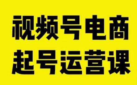 视频号电商起号运营课，教新人如何自然流起号，助力商家0-1突破-摸金项目网