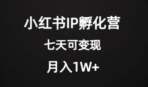 价值2000+的小红书IP孵化营项目，超级大蓝海，七天即可开始变现，稳定月入1W+-摸金项目网
