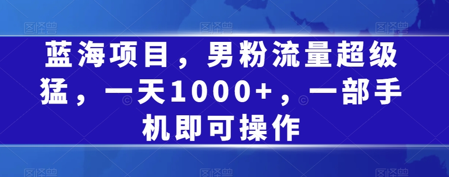 蓝海项目，男粉流量超级猛，一天1000+，一部手机即可操作【揭秘】-摸金项目网