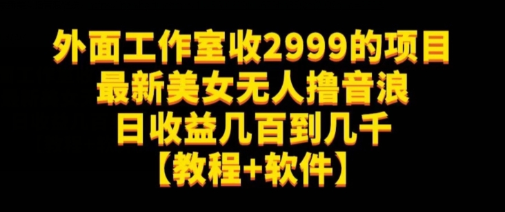 外面工作室收2999的项目最新美女无人撸音浪日收益几百到几千【教程+软件】（仅揭秘）-摸金项目网