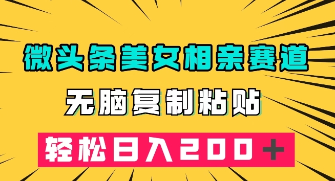 微头条冷门美女相亲赛道，无脑复制粘贴，轻松日入200＋【揭秘】-摸金项目网
