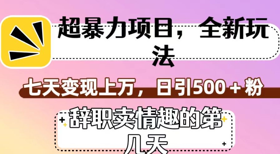 超暴利项目，全新玩法（辞职卖情趣的第几天），七天变现上万，日引500+粉【揭秘】-摸金项目网