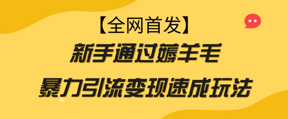 【全网首发】新手通过薅羊毛暴力引流变现速成玩法-摸金项目网