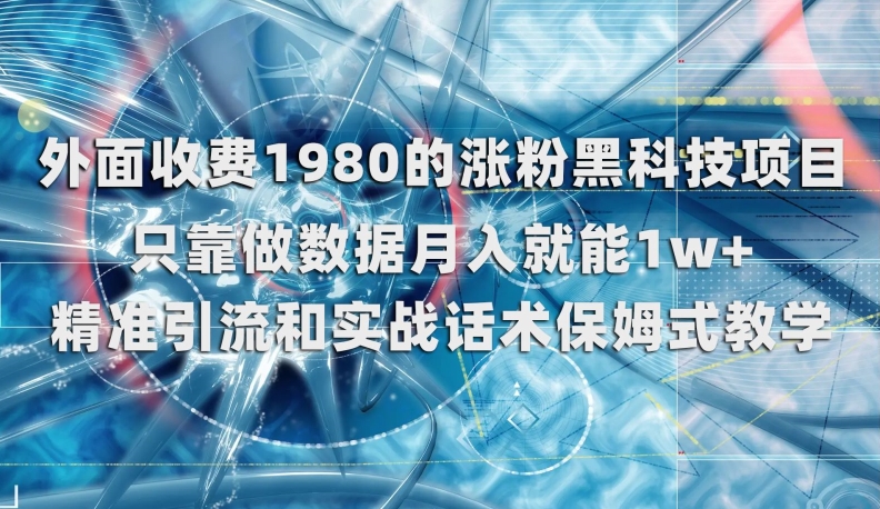 外面收费1980的涨粉黑科技项目，只靠做数据月入就能1w+【揭秘】-摸金项目网
