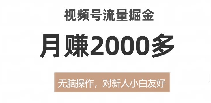 视频号流量掘金，无脑操作，对新人小白友好，月赚2000多【揭秘】-摸金项目网