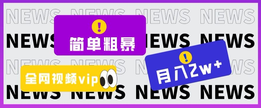 简单粗暴零成本，高回报，全网视频VIP掘金项目，月入2万＋【揭秘】-摸金项目网