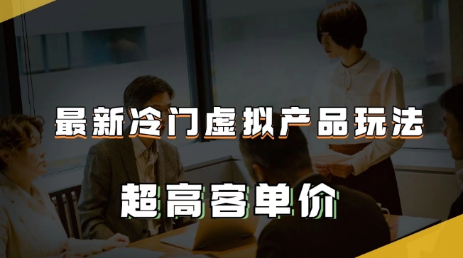 最新冷门虚拟产品玩法，超高客单价，月入2-3万＋【揭秘】-摸金项目网