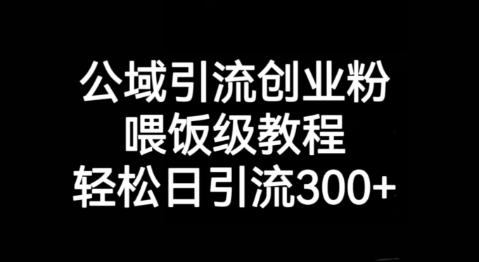 公域引流创业粉，喂饭级教程，轻松日引流300+【揭秘】-摸金项目网