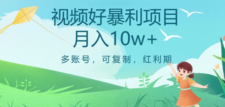 视频号暴利项目，多账号，可复制，红利期，月入10w+【揭秘】-摸金项目网