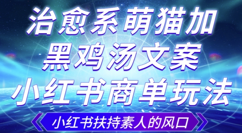 治愈系萌猫加+黑鸡汤文案，小红书商单玩法，3~10天涨到1000粉，一单200左右-摸金项目网