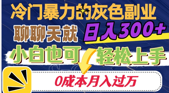 冷门暴利的副业项目，聊聊天就能日入300+，0成本月入过万【揭秘】-摸金项目网