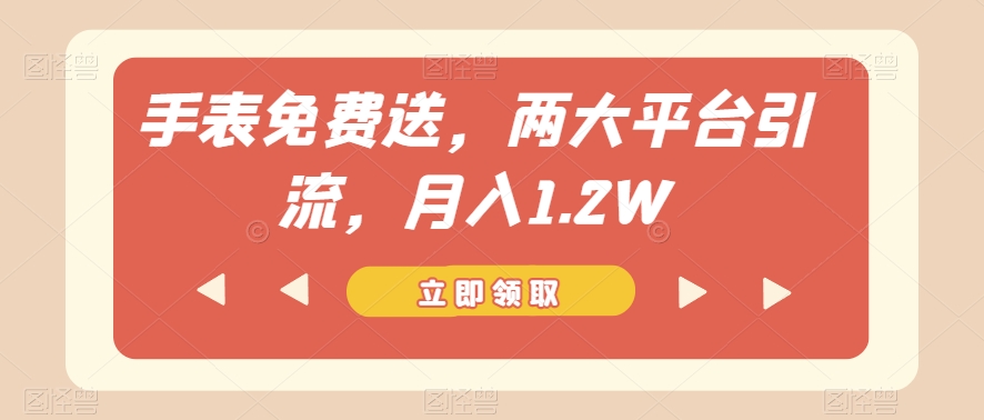 手表免费送，两大平台引流，月入1.2W【揭秘】-摸金项目网