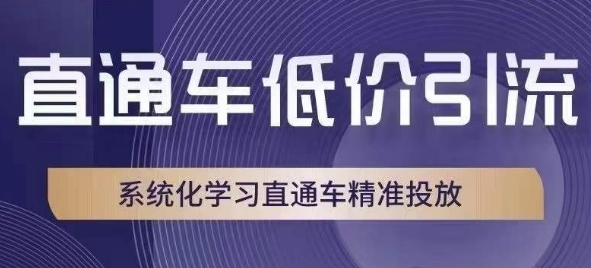 直通车低价引流课，系统化学习直通车精准投放-摸金项目网