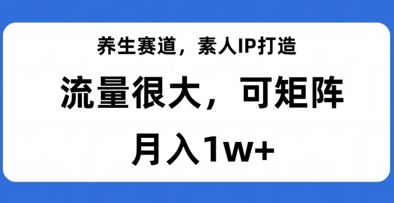 养生赛道，素人IP打造，流量很大，可矩阵，月入1w+【揭秘】-摸金项目网