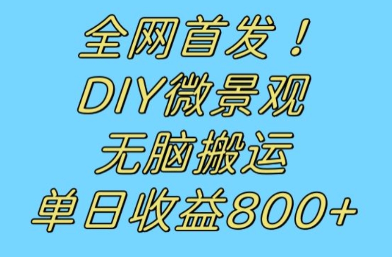 全网首发冷门赛道！DIY微景观，无脑搬运视频，日收益800+【揭秘】-摸金项目网