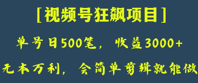 日收款500笔，纯利润3000+，视频号狂飙项目，会简单剪辑就能做【揭秘】-摸金项目网