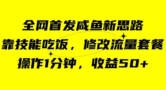 咸鱼冷门新玩法，靠“技能吃饭”，修改流量套餐，操作1分钟，收益50【揭秘】-摸金项目网
