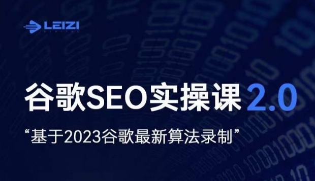 雷子·谷歌SEO 2.0实战课，独立站询盘自由必备，基于2023谷歌最新算法录制-摸金项目网