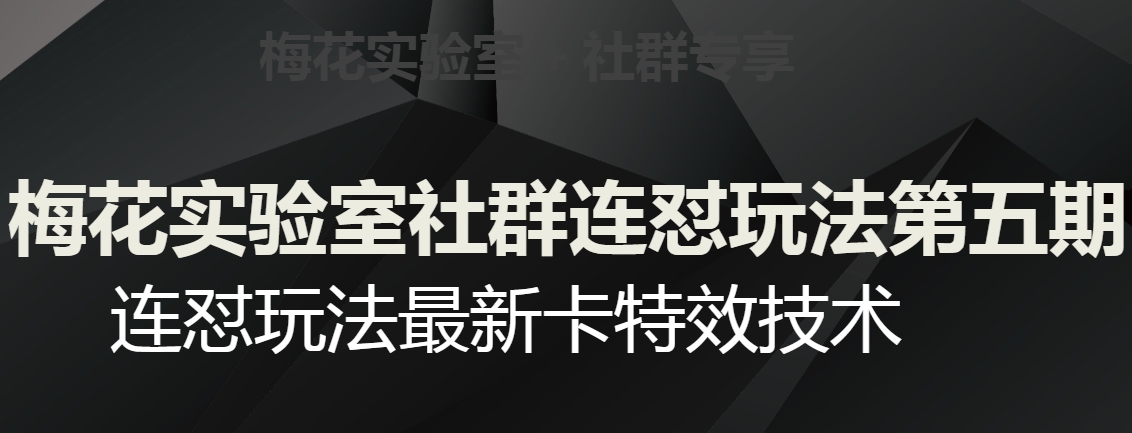 梅花实验室社群连怼玩法第五期，视频号连怼玩法最新卡特效技术-摸金项目网