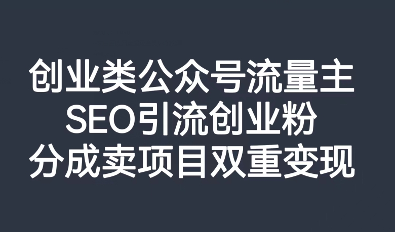 创业类公众号流量主，SEO引流创业粉，分成卖项目双重变现【揭秘】-摸金项目网