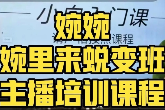 婉婉·婉里来蜕变班（主播课）全方位理解底层逻辑并灵活运用-摸金项目网