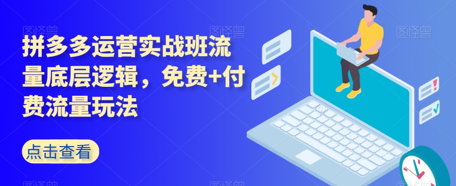 拼多多运营实战班流量底层逻辑，免费+付费流量玩法-摸金项目网