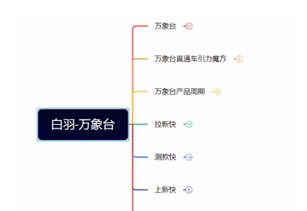 白羽·直引万搜索全篇，从0-1，多个类目实操经验总结付费-摸金项目网
