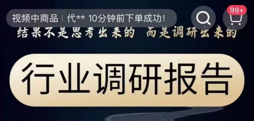 行业调研报告，结果不是思考出来的而是调研出来的-摸金项目网