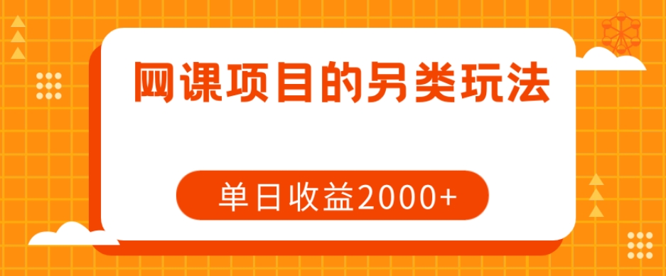 网课项目的另类玩法，单日收益2000+【揭秘】-摸金项目网