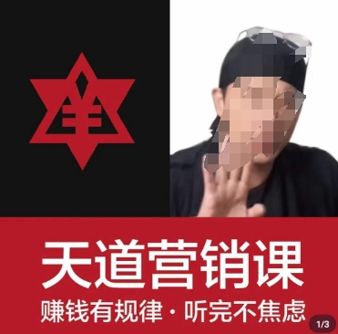 天道老阮-天道营销课，​赚钱有规律，听完不焦虑-摸金项目网