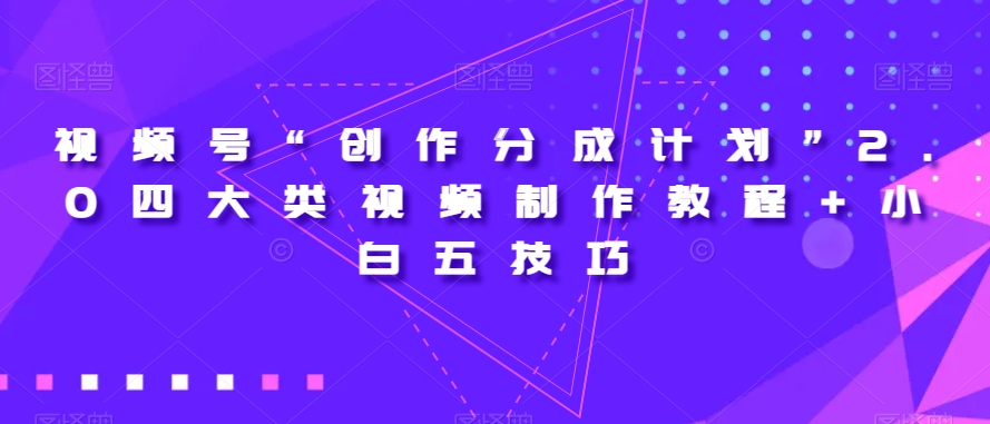 视频号“创作分成计划”2.0四大类视频制作教程+小白五技巧【揭秘】-摸金项目网