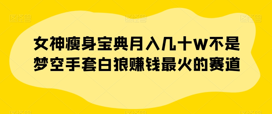 女神瘦身宝典月入几十W不是梦空手套白狼赚钱最火的赛道【揭秘】-摸金项目网