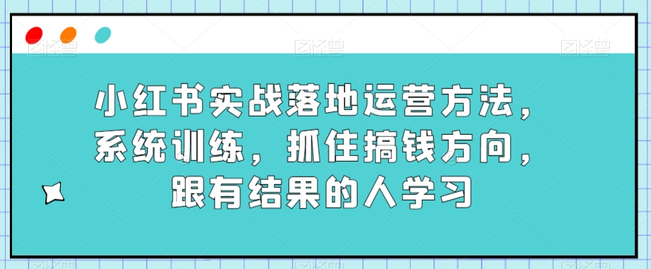 小红书实战落地运营方法，系统训练，抓住搞钱方向，跟有结果的人学习-摸金项目网